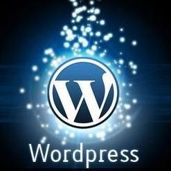 WordPress插件–百度快速提交插件 加速百度爬虫和收录-支持手动和批量提交-首码网-网上创业赚钱首码项目发布推广平台